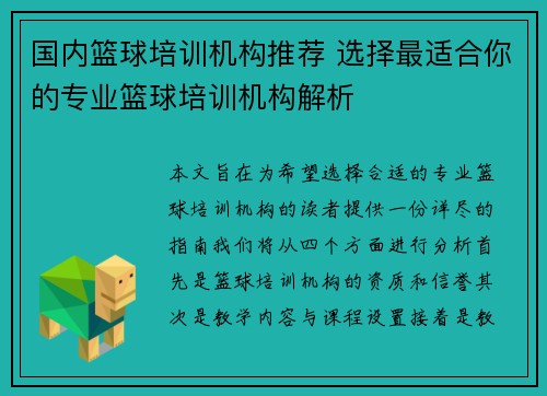 国内篮球培训机构推荐 选择最适合你的专业篮球培训机构解析